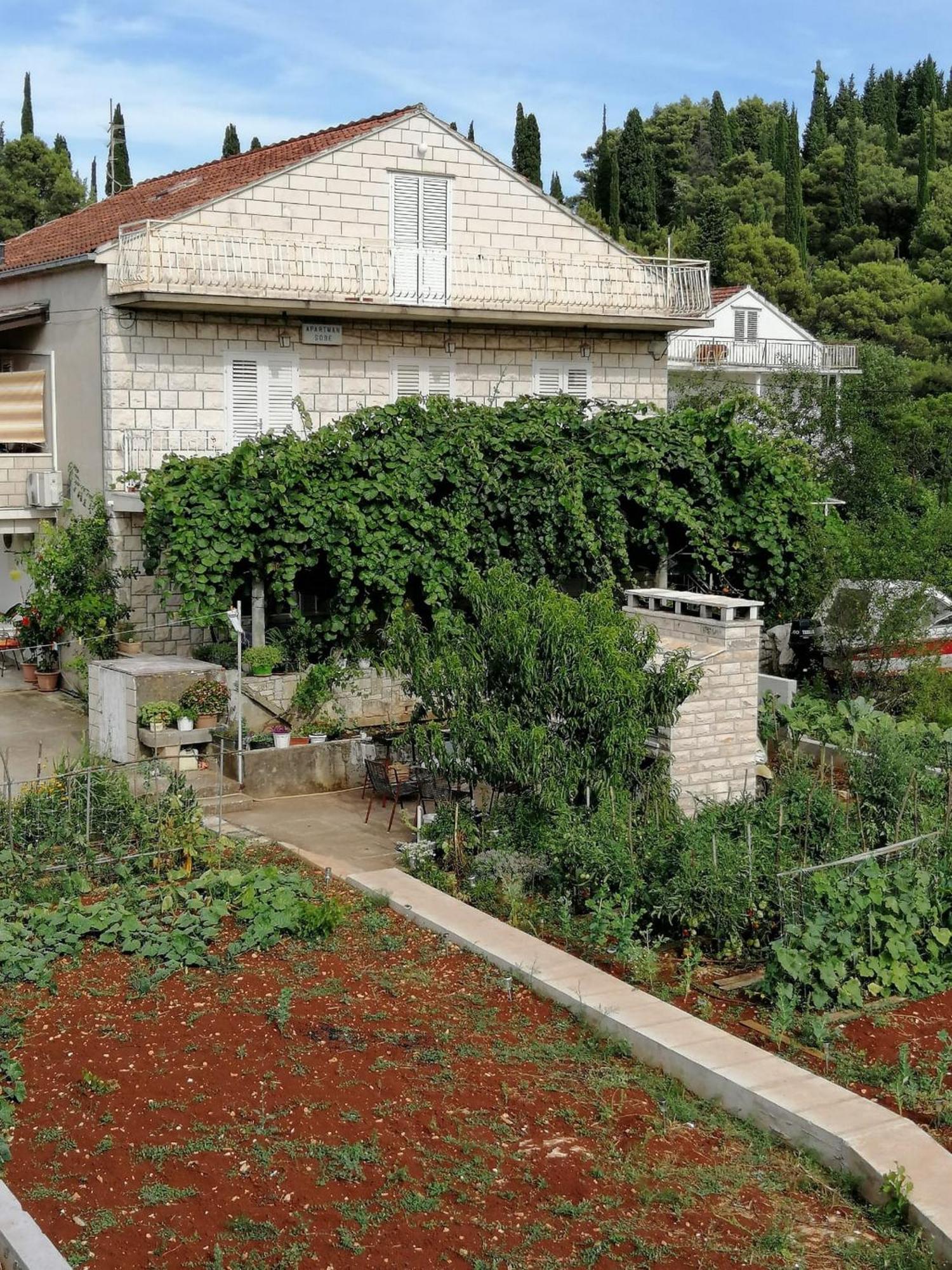 Apartments Marita Korčula Zimmer foto